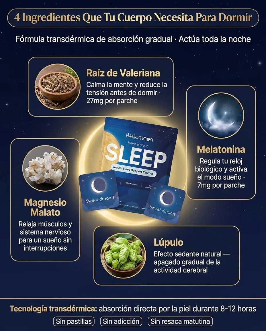 parche dormir 04_ingredientes.webp