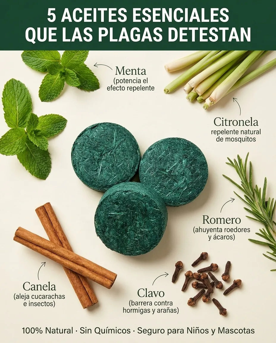 repelente 03_ingredientes.webp